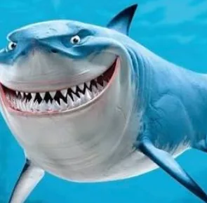 Bruce