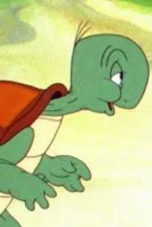Cecil Turtle