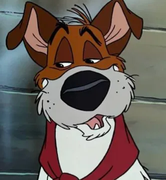 Dodger