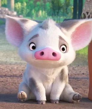 Pua