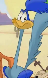 Road Runner