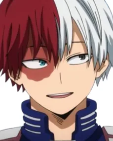 Shoto Todoroki