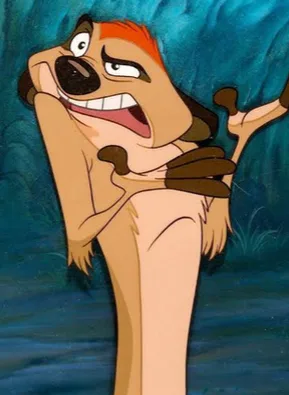 Timon